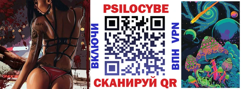 Галлюциногенные грибы Psilocybe  цена   Кингисепп 